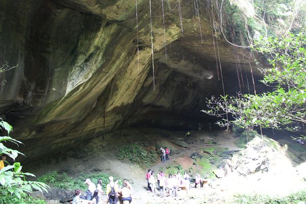 三民蝙蝠洞,免費景點,大溪景點,桃園好玩,蝙蝠洞