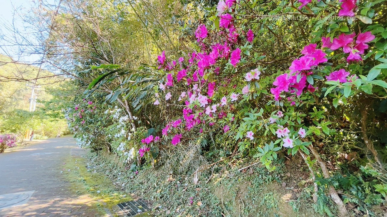三民蝙蝠洞