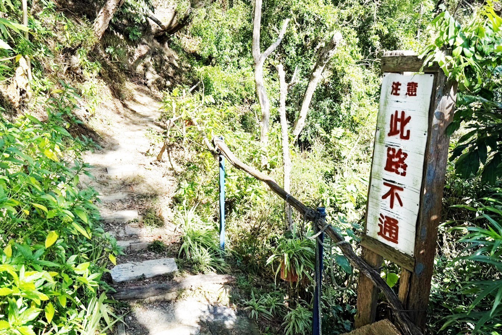 風動石森林體驗空間