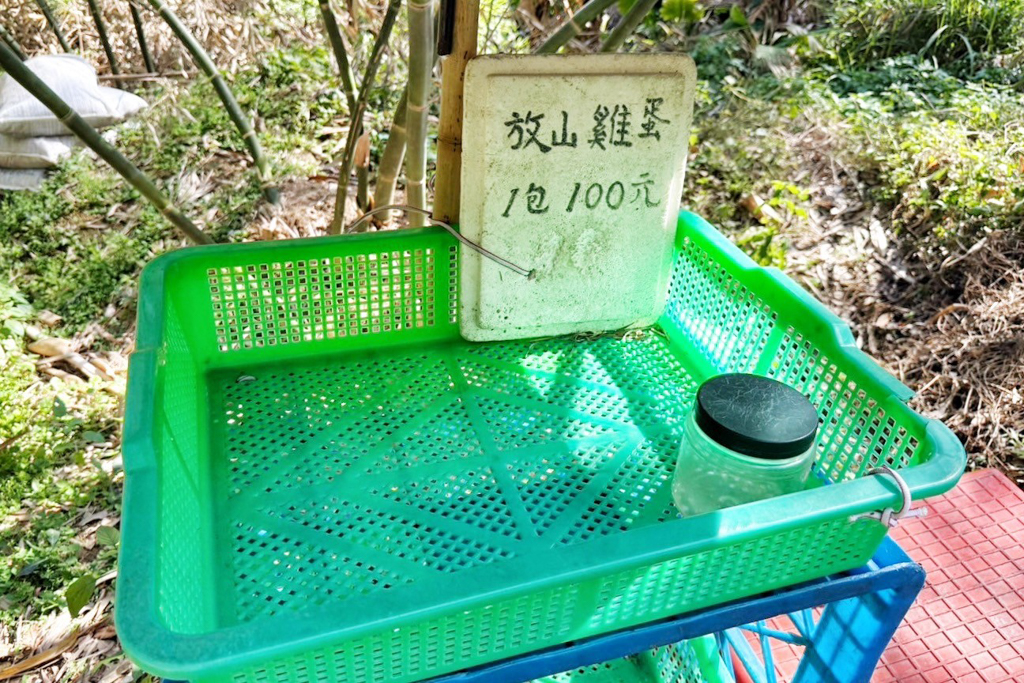 風動石森林體驗空間