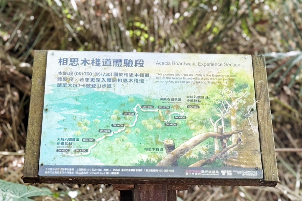 風動石森林體驗空間