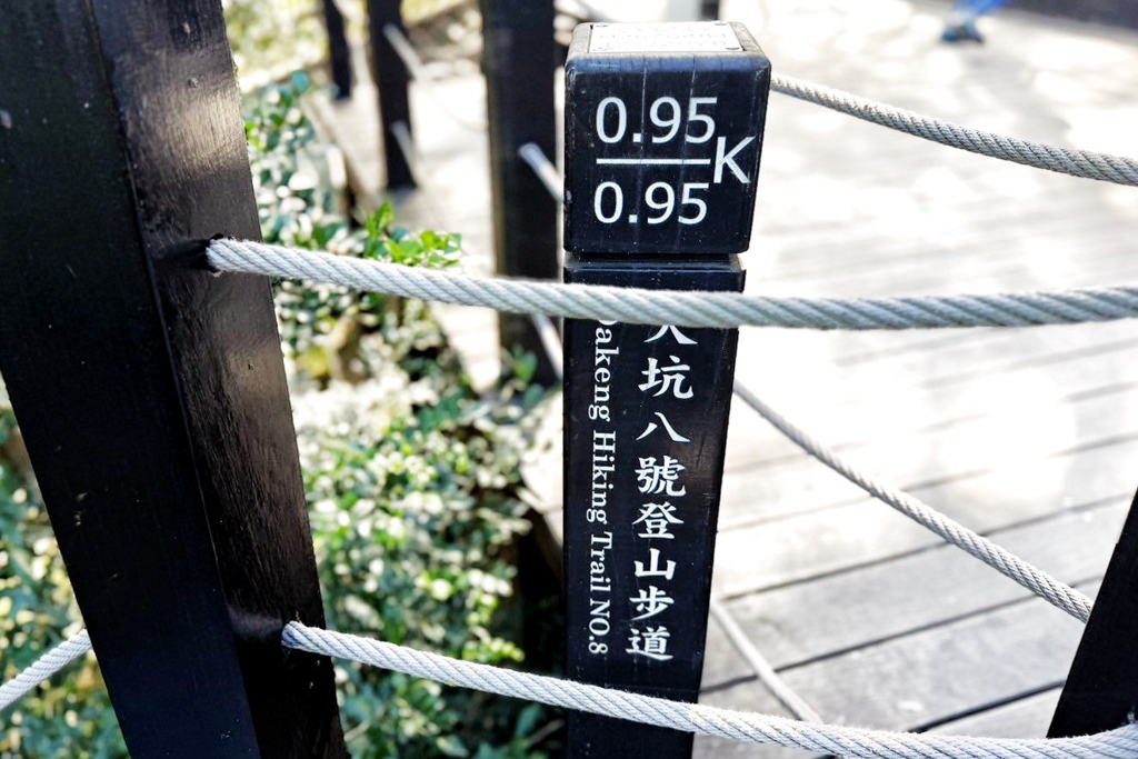 風動石森林體驗空間