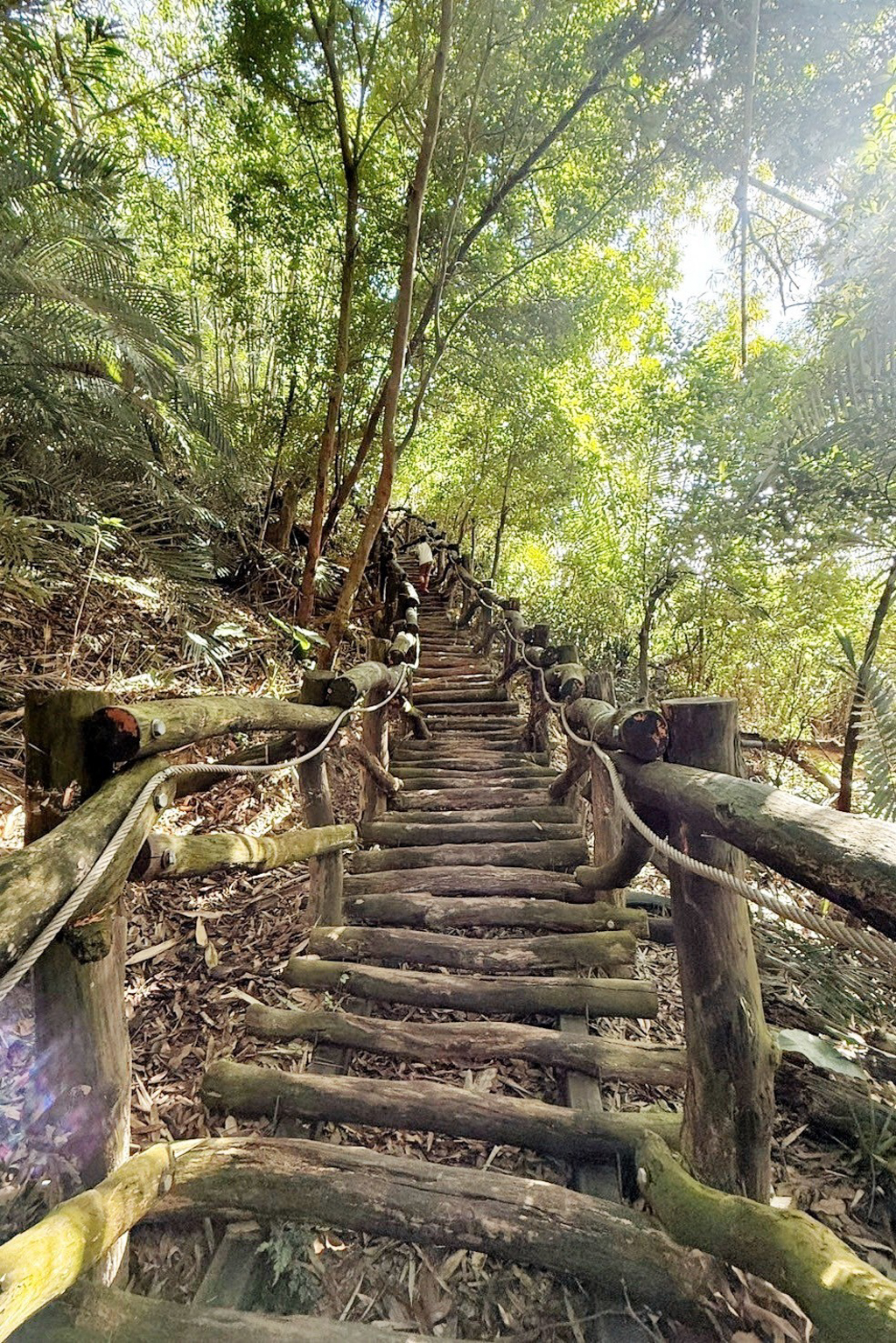 風動石森林體驗空間