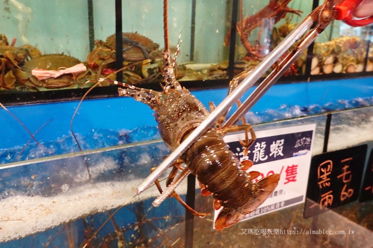 台北美食,活海鮮,海鮮餐廳,漁聞樂海鮮料理,龍蝦