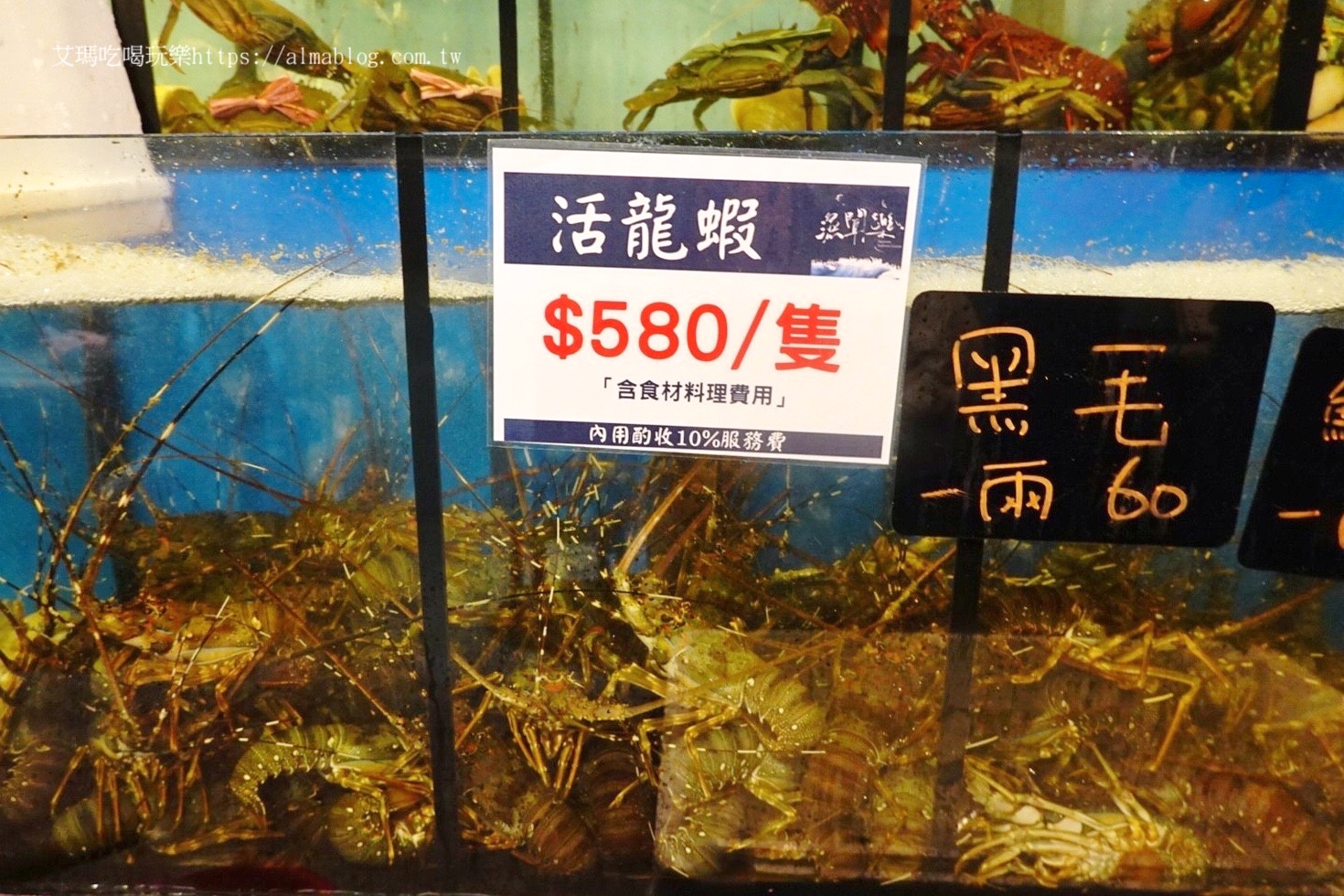 台北美食,活海鮮,海鮮餐廳,漁聞樂海鮮料理,龍蝦