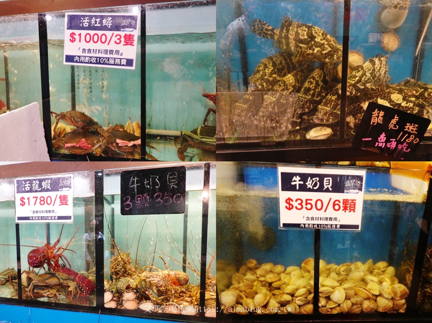 台北美食,活海鮮,海鮮餐廳,漁聞樂海鮮料理,龍蝦