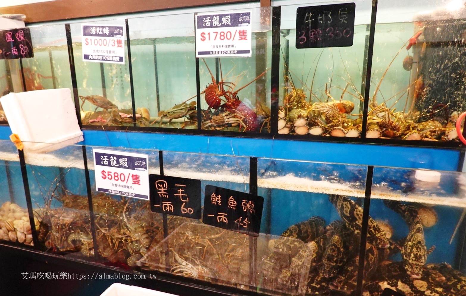 台北美食,活海鮮,海鮮餐廳,漁聞樂海鮮料理,龍蝦