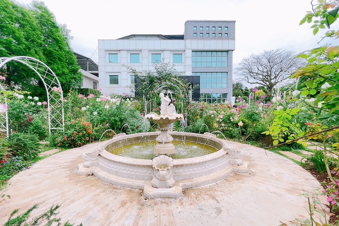 免費入館,博物館,桃園景點,楊梅景點,雅聞魅力博覽館 免費入館,博物館,桃園景點,楊梅景點,雅聞魅力博覽館