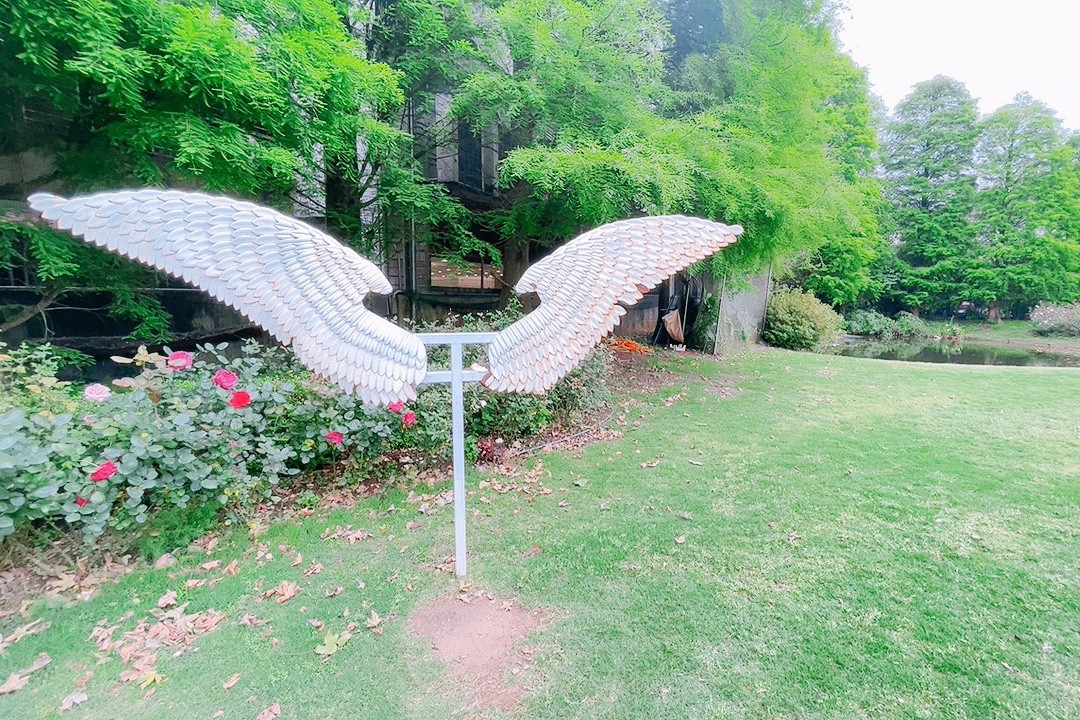 免費入館,博物館,桃園景點,楊梅景點,雅聞魅力博覽館 免費入館,博物館,桃園景點,楊梅景點,雅聞魅力博覽館