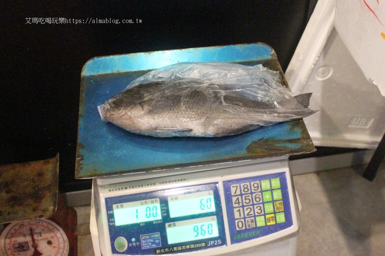 台北美食,活海鮮,海鮮餐廳,漁聞樂海鮮料理,龍蝦