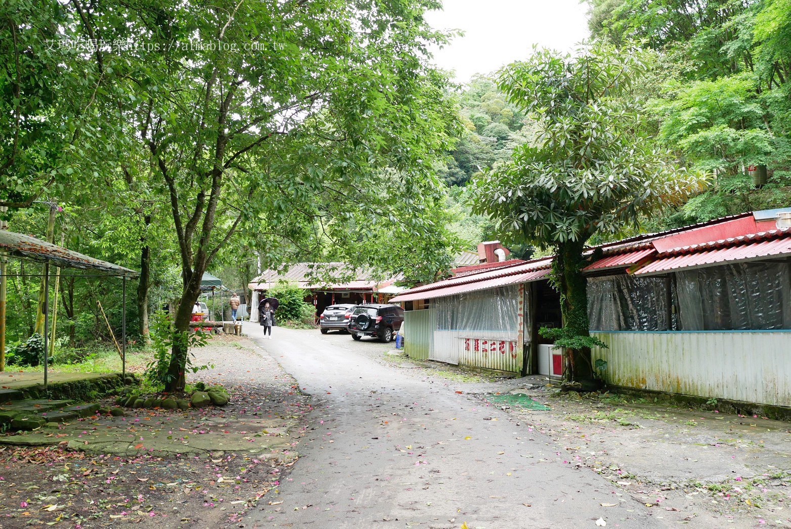 大溪景點,阮家莊土雞城 大溪景點,阮家莊土雞城