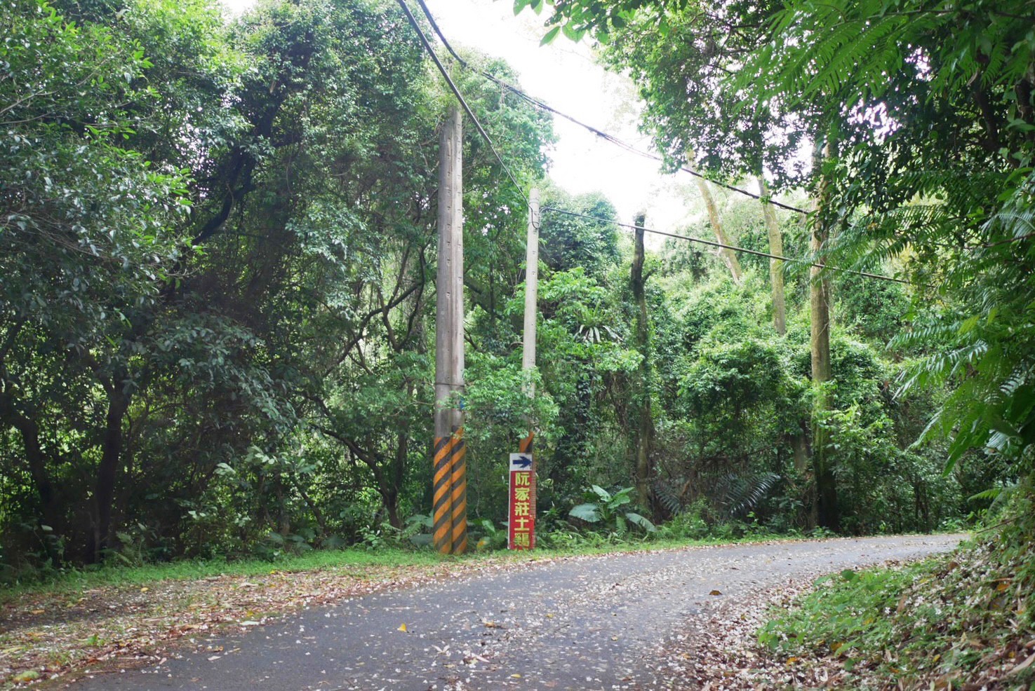 大溪景點,阮家莊土雞城 大溪景點,阮家莊土雞城