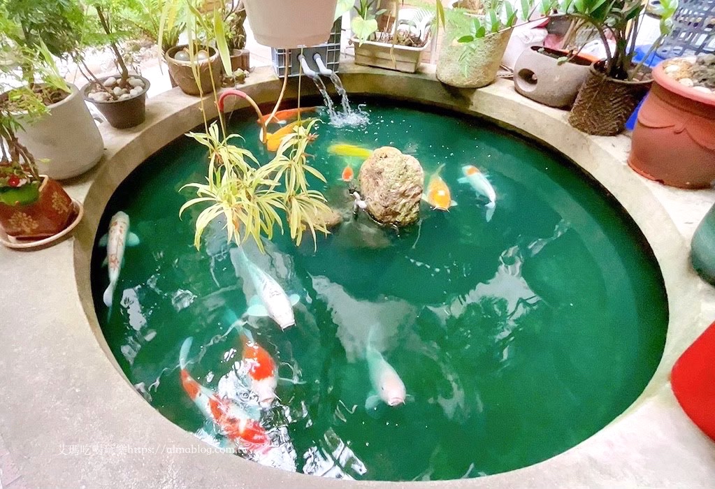 南部美食,埔里美食,小湯圓,彩色湯圓,滷肉飯,蘇媽媽湯圓,鮮肉湯圓 南部美食,埔里美食,小湯圓,彩色湯圓,滷肉飯,蘇媽媽湯圓,鮮肉湯圓