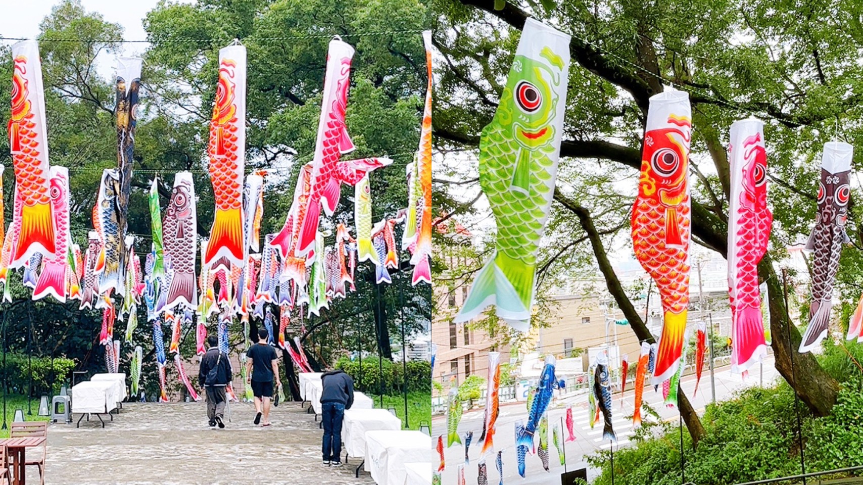 免費景點,桃園忠烈祠暨神社,鯉魚流光祭 免費景點,桃園忠烈祠暨神社,鯉魚流光祭