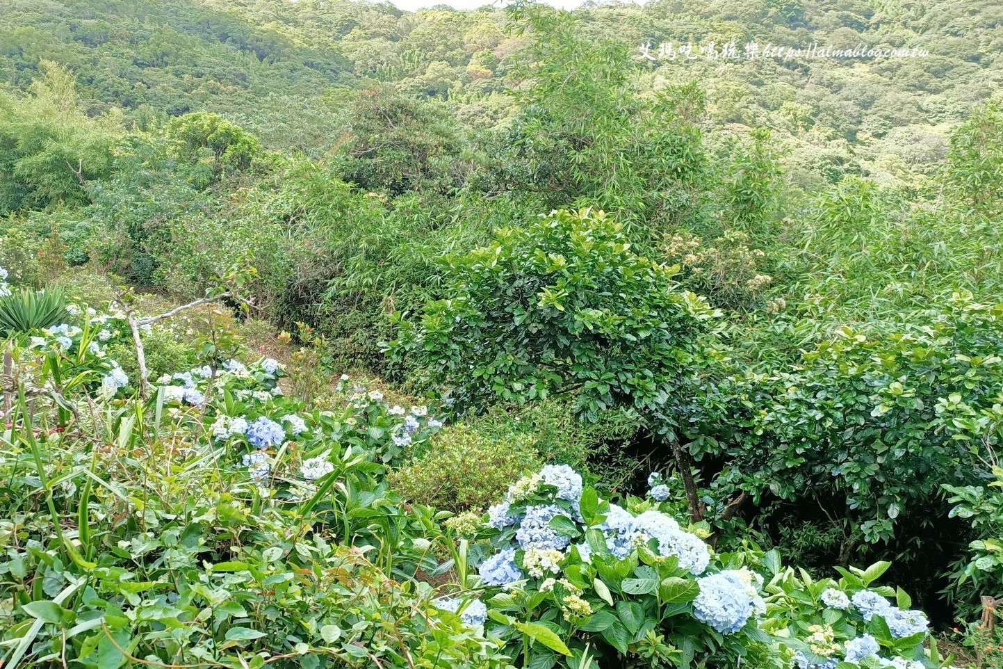 台北景點,硬漢嶺 台北景點,硬漢嶺