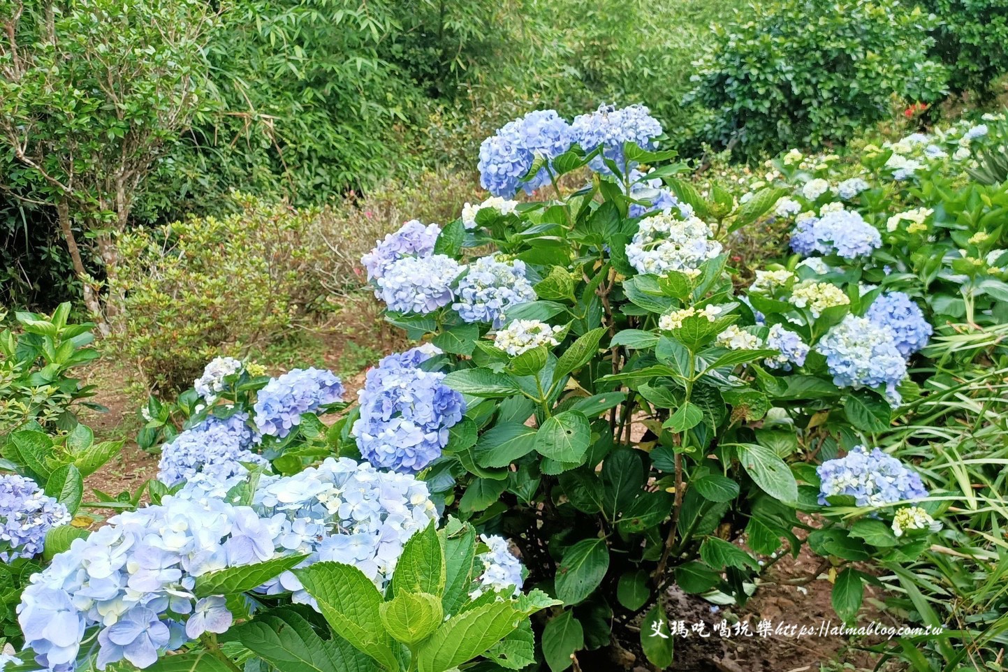 台北景點,硬漢嶺 台北景點,硬漢嶺