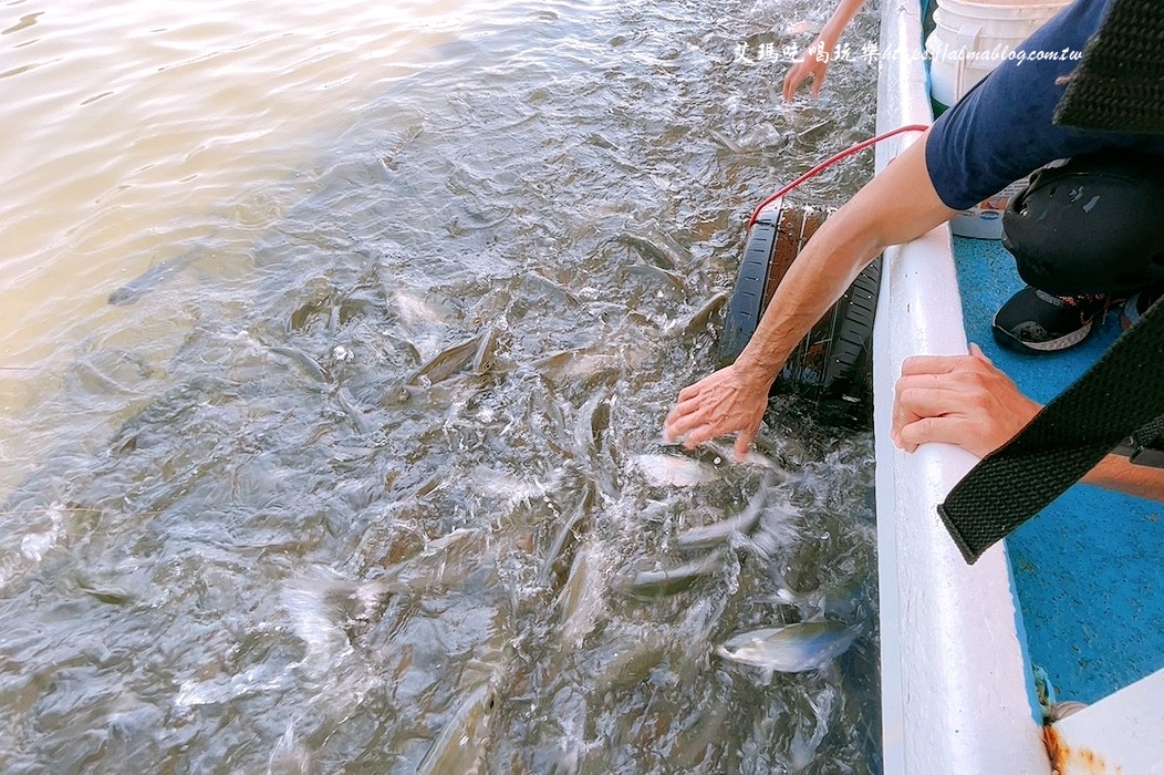 宜蘭景點,輕親魚朵生態園區,釣蝦,釣魚,鹽焗台灣鯛 宜蘭景點,輕親魚朵生態園區,釣蝦,釣魚,鹽焗台灣鯛