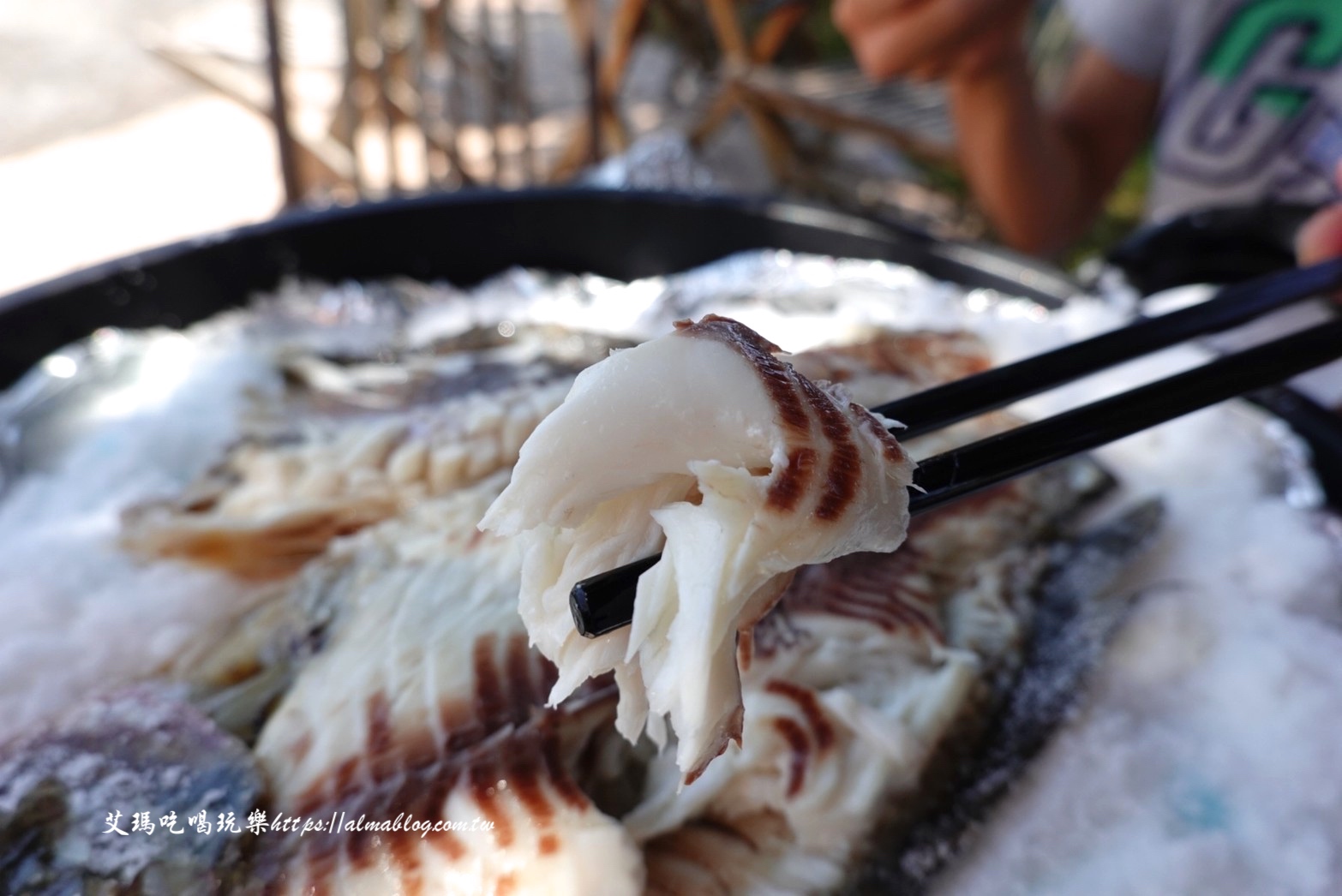 宜蘭景點,輕親魚朵生態園區,釣蝦,釣魚,鹽焗台灣鯛 宜蘭景點,輕親魚朵生態園區,釣蝦,釣魚,鹽焗台灣鯛