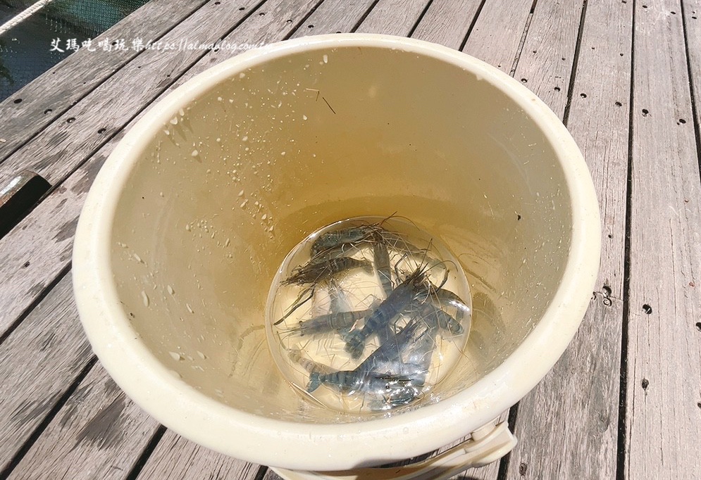 宜蘭景點,輕親魚朵生態園區,釣蝦,釣魚,鹽焗台灣鯛 宜蘭景點,輕親魚朵生態園區,釣蝦,釣魚,鹽焗台灣鯛