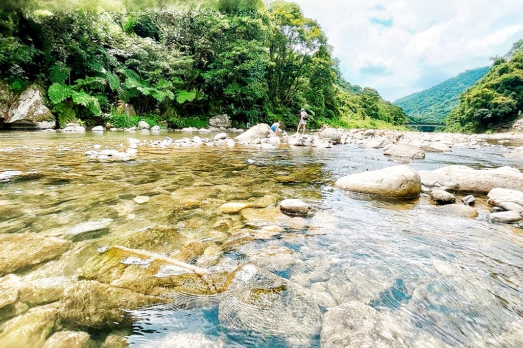 樂源仙境土雞城