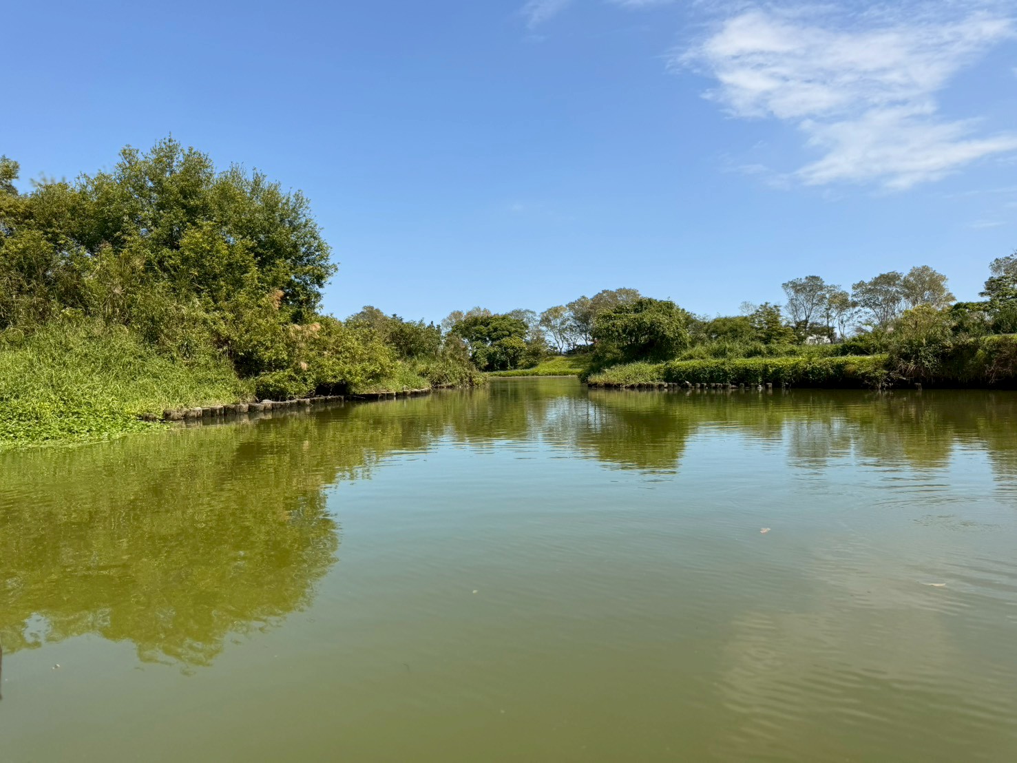 冬山河生態綠舟,宜蘭景點,好玩景點,親子景點