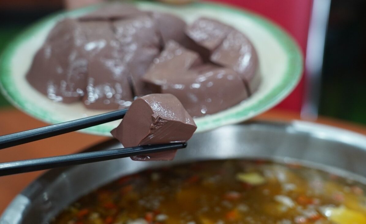 台灣番鴨牧場