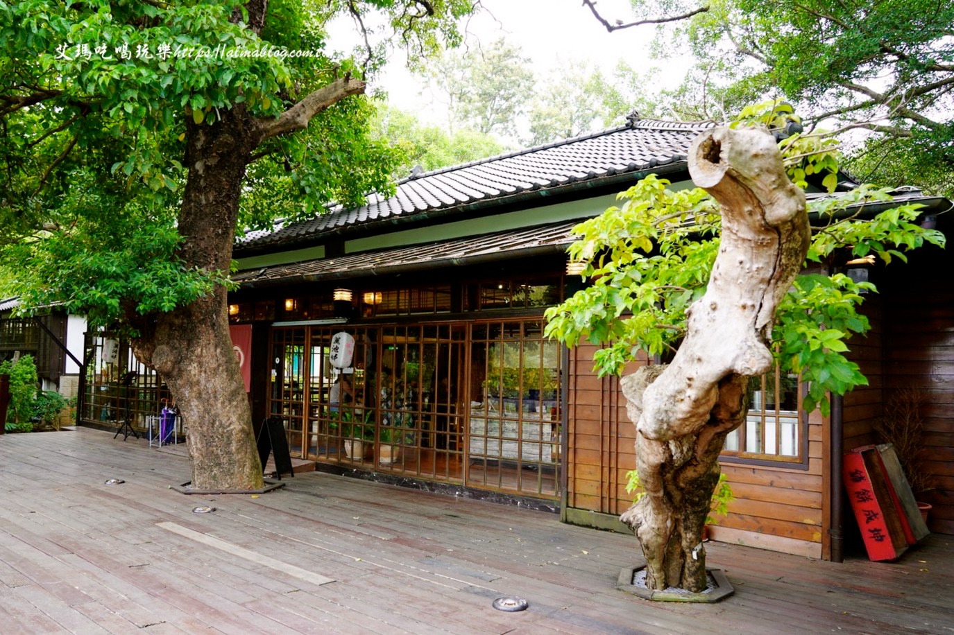 麗池畔,新竹公園,老宅,定食,日料,立體拉花,麗池生活美學館,餵食,公園,免費景點,鯖魚定食