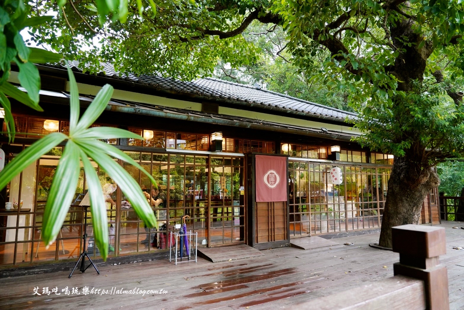 麗池畔,新竹公園,老宅,定食,日料,立體拉花,麗池生活美學館,餵食,公園,免費景點,鯖魚定食