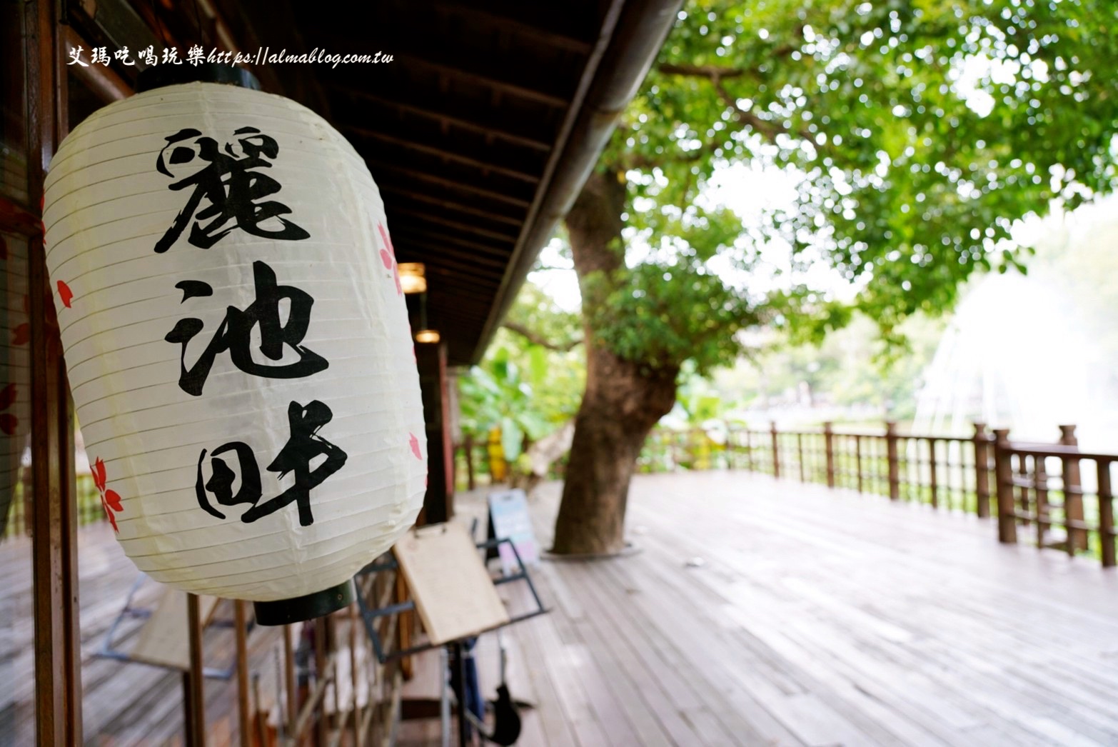 麗池畔,新竹公園,老宅,定食,日料,立體拉花,麗池生活美學館,餵食,公園,免費景點,鯖魚定食