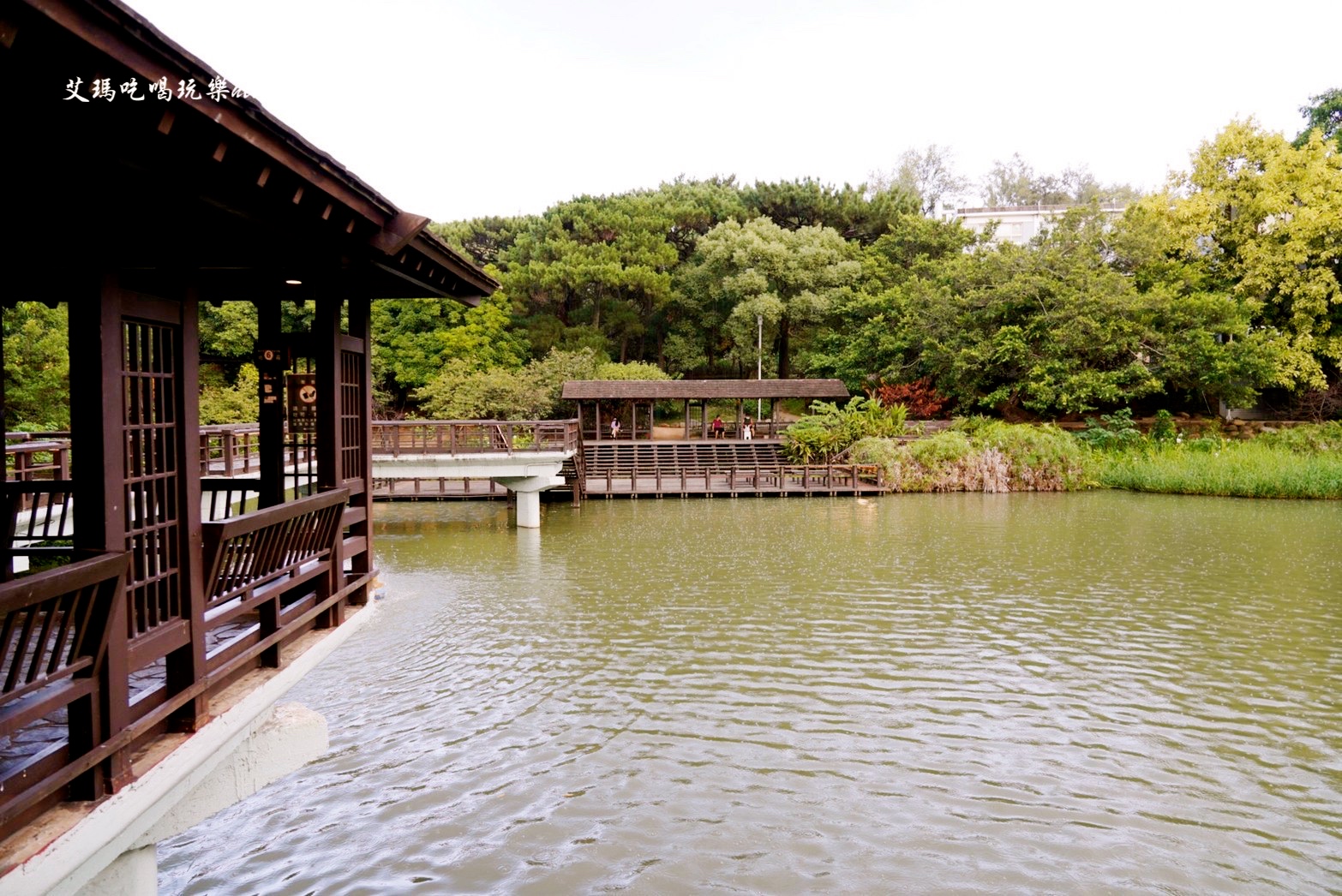 麗池畔,新竹公園,老宅,定食,日料,立體拉花,麗池生活美學館,餵食,公園,免費景點,鯖魚定食