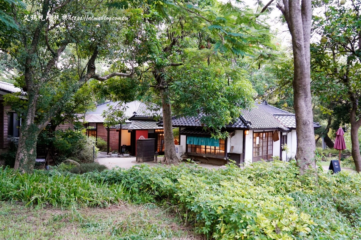 麗池畔,新竹公園,老宅,定食,日料,立體拉花,麗池生活美學館,餵食,公園,免費景點,鯖魚定食