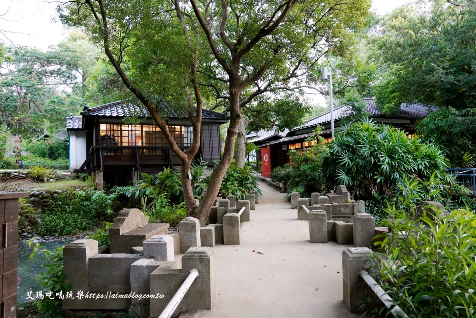 麗池畔,新竹公園,老宅,定食,日料,立體拉花,麗池生活美學館,餵食,公園,免費景點,鯖魚定食