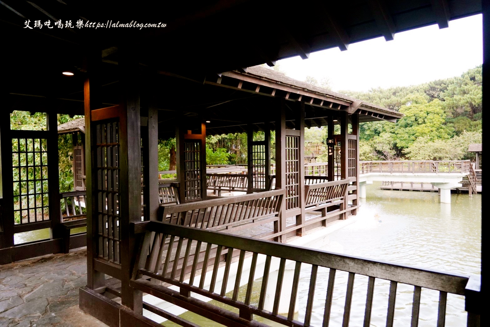 麗池畔,新竹公園,老宅,定食,日料,立體拉花,麗池生活美學館,餵食,公園,免費景點,鯖魚定食