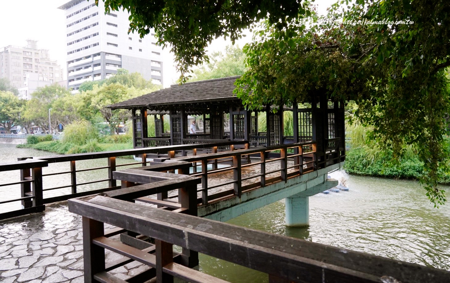 麗池畔,新竹公園,老宅,定食,日料,立體拉花,麗池生活美學館,餵食,公園,免費景點,鯖魚定食