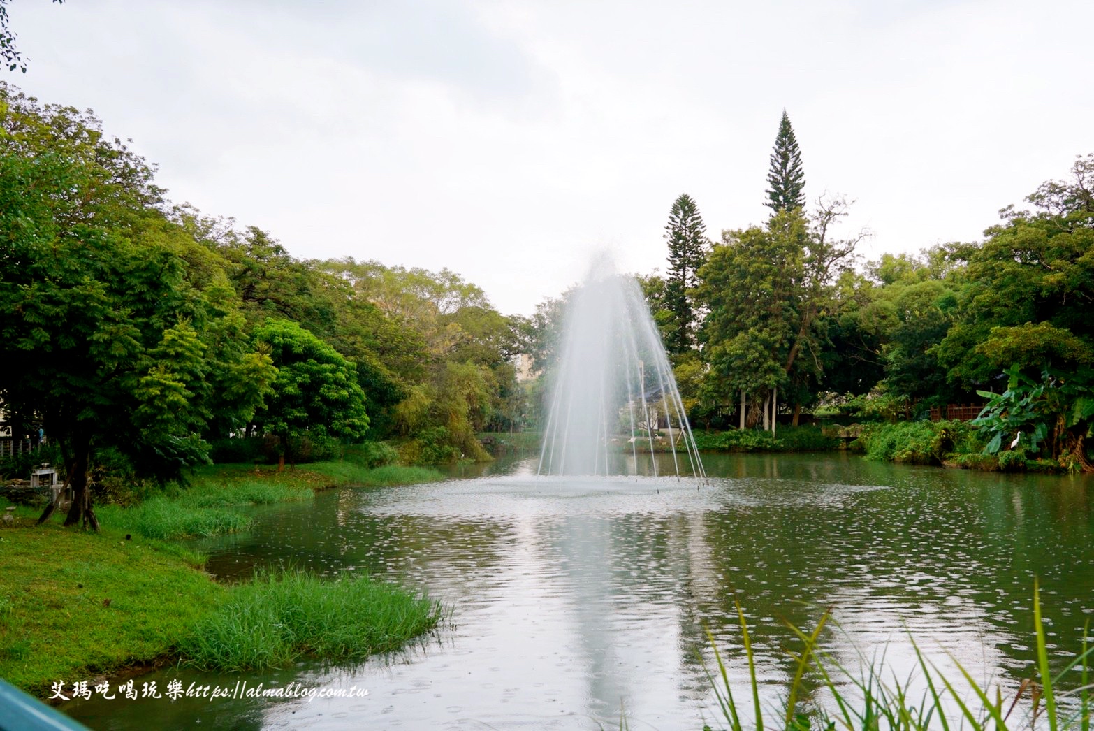 麗池畔,新竹公園,老宅,定食,日料,立體拉花,麗池生活美學館,餵食,公園,免費景點,鯖魚定食