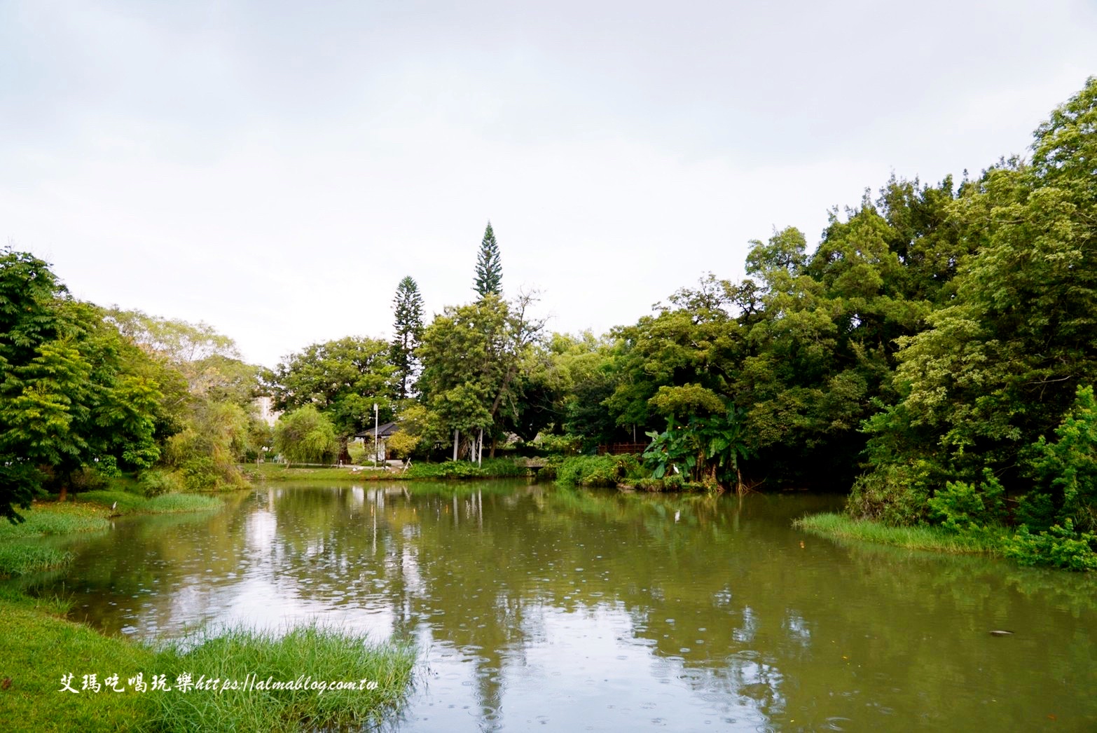 麗池畔,新竹公園,老宅,定食,日料,立體拉花,麗池生活美學館,餵食,公園,免費景點,鯖魚定食