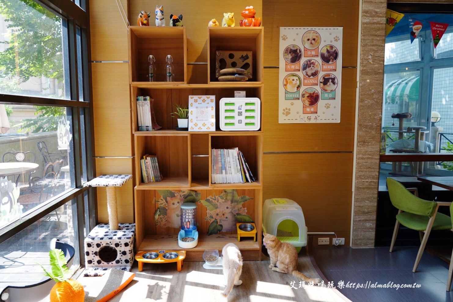 貓森,貓咪餐廳,桃園咖啡館,桃園美食,楊梅景點,麗多森林溫泉酒店 貓森,貓咪餐廳,桃園咖啡館,桃園美食,楊梅景點,麗多森林溫泉酒店