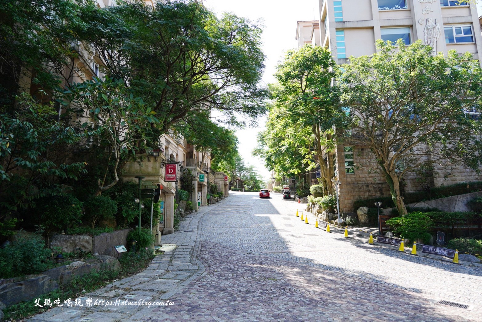 貓森,貓咪餐廳,桃園咖啡館,桃園美食,楊梅景點,麗多森林溫泉酒店 貓森,貓咪餐廳,桃園咖啡館,桃園美食,楊梅景點,麗多森林溫泉酒店