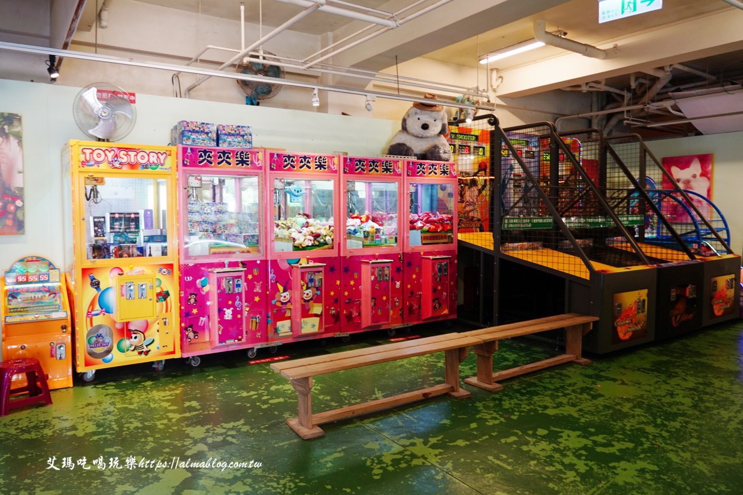 貓森,貓咪餐廳,桃園咖啡館,桃園美食,楊梅景點,麗多森林溫泉酒店 貓森,貓咪餐廳,桃園咖啡館,桃園美食,楊梅景點,麗多森林溫泉酒店