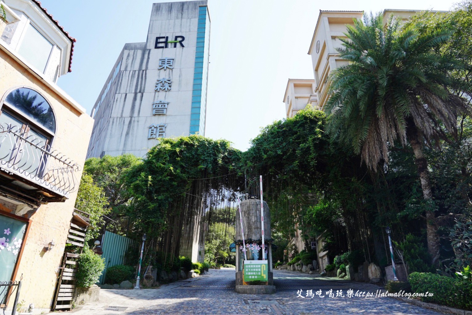 貓森,貓咪餐廳,桃園咖啡館,桃園美食,楊梅景點,麗多森林溫泉酒店