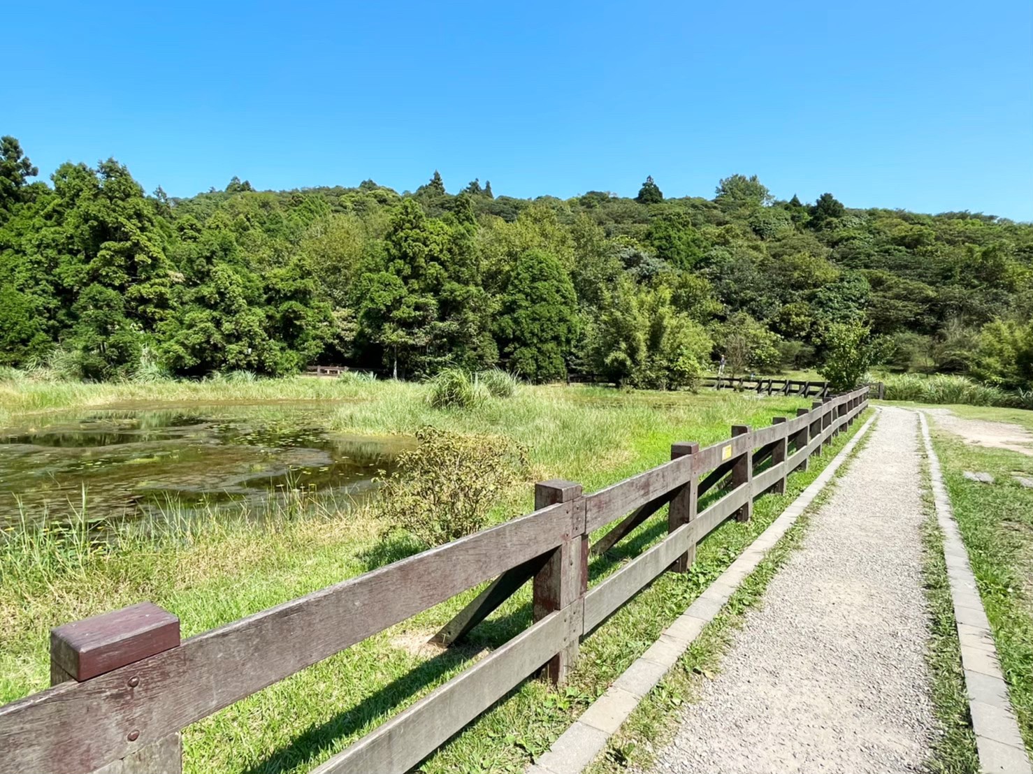 台北景點,陽明山,免費景點,冷水坑,牛奶湖,登山,菁山吊橋 台北景點,陽明山,免費景點,冷水坑,牛奶湖,登山,菁山吊橋