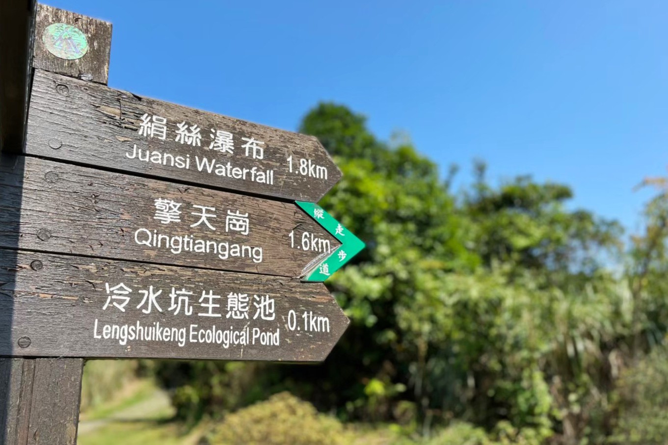 台北景點,陽明山,免費景點,冷水坑,牛奶湖,登山,菁山吊橋 台北景點,陽明山,免費景點,冷水坑,牛奶湖,登山,菁山吊橋