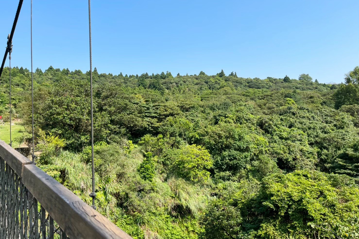 台北景點,陽明山,免費景點,冷水坑,牛奶湖,登山,菁山吊橋 台北景點,陽明山,免費景點,冷水坑,牛奶湖,登山,菁山吊橋