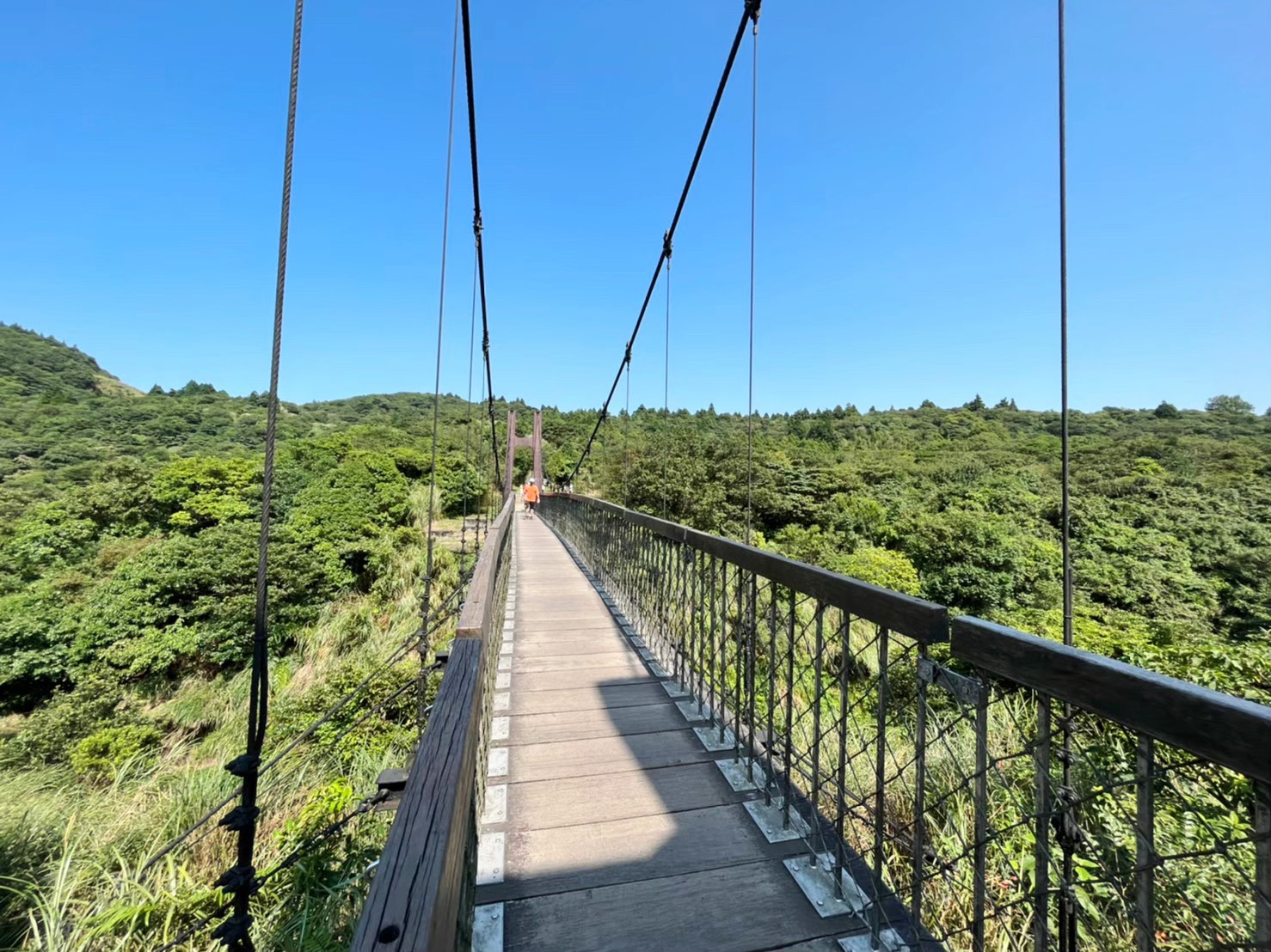 台北景點,陽明山,免費景點,冷水坑,牛奶湖,登山,菁山吊橋 台北景點,陽明山,免費景點,冷水坑,牛奶湖,登山,菁山吊橋