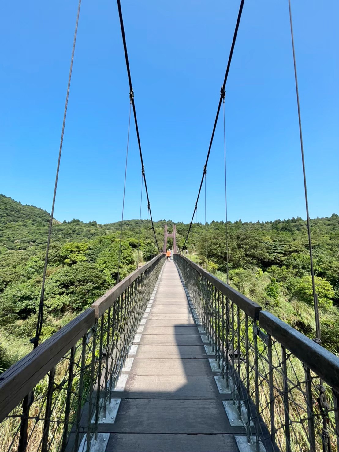 台北景點,陽明山,免費景點,冷水坑,牛奶湖,登山,菁山吊橋 台北景點,陽明山,免費景點,冷水坑,牛奶湖,登山,菁山吊橋