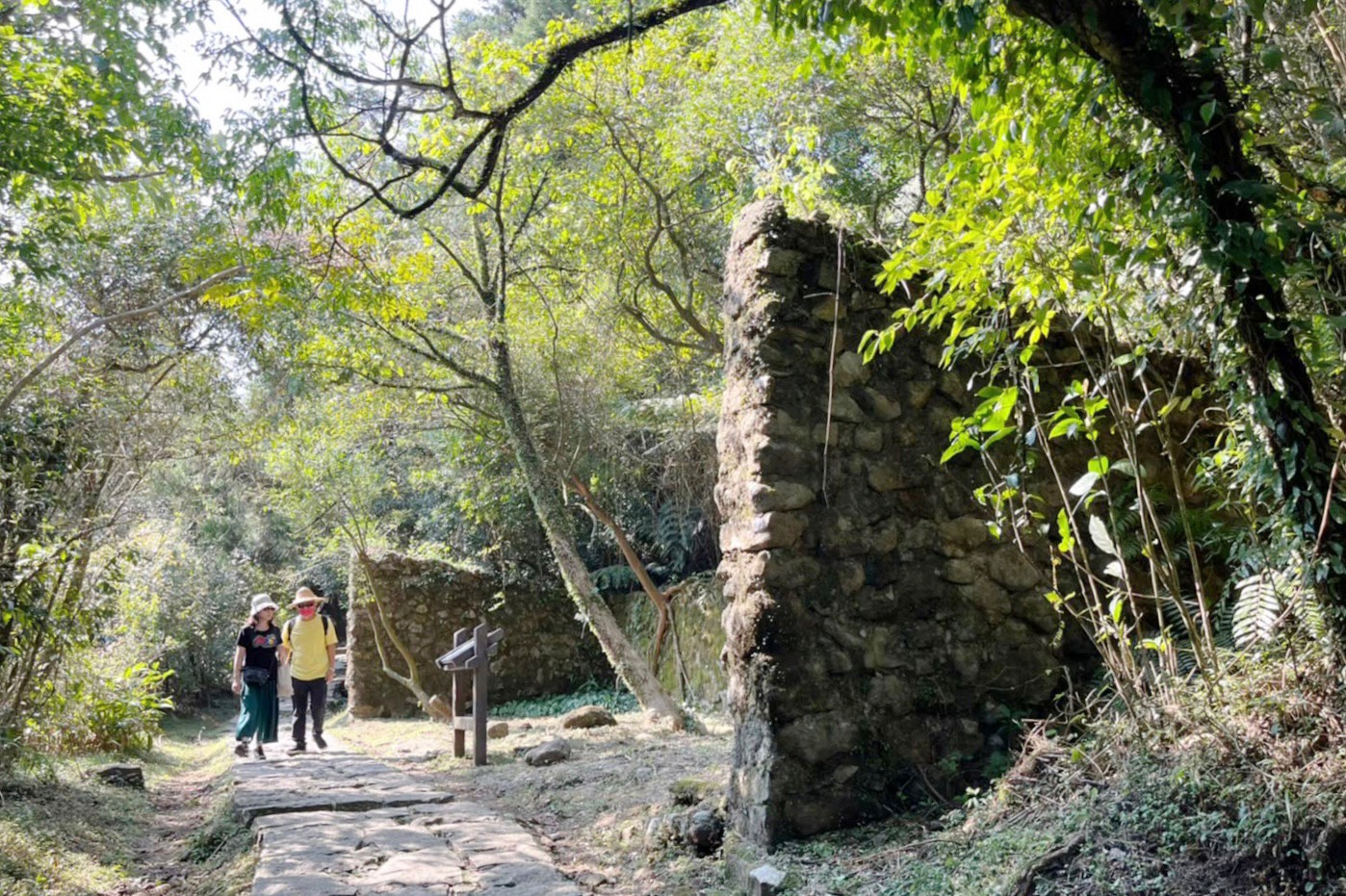 台北景點,陽明山,免費景點,冷水坑,牛奶湖,登山,菁山吊橋 台北景點,陽明山,免費景點,冷水坑,牛奶湖,登山,菁山吊橋