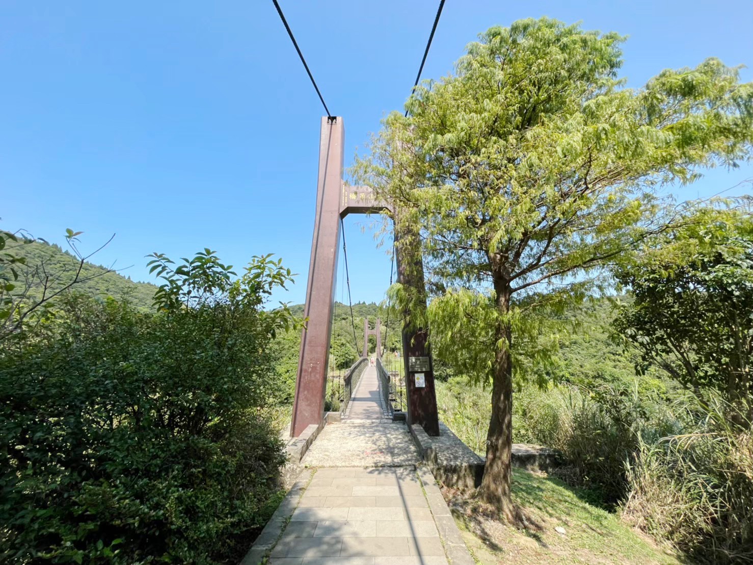 台北景點,陽明山,免費景點,冷水坑,牛奶湖,登山,菁山吊橋 台北景點,陽明山,免費景點,冷水坑,牛奶湖,登山,菁山吊橋