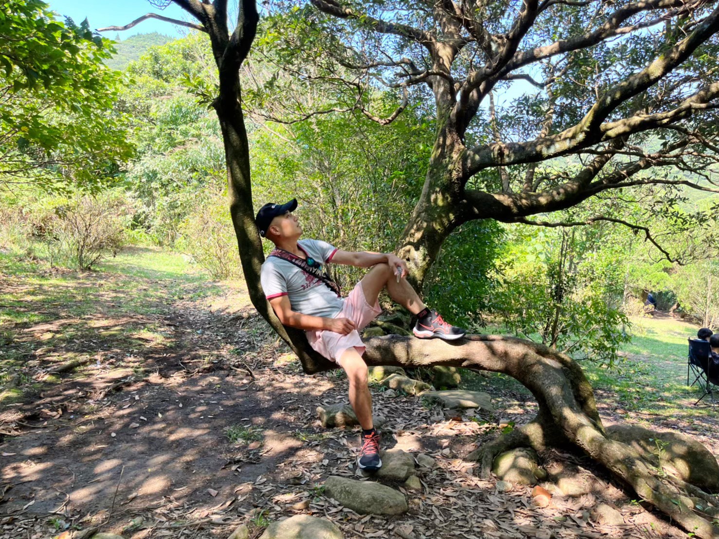 台北景點,陽明山,免費景點,冷水坑,牛奶湖,登山,菁山吊橋