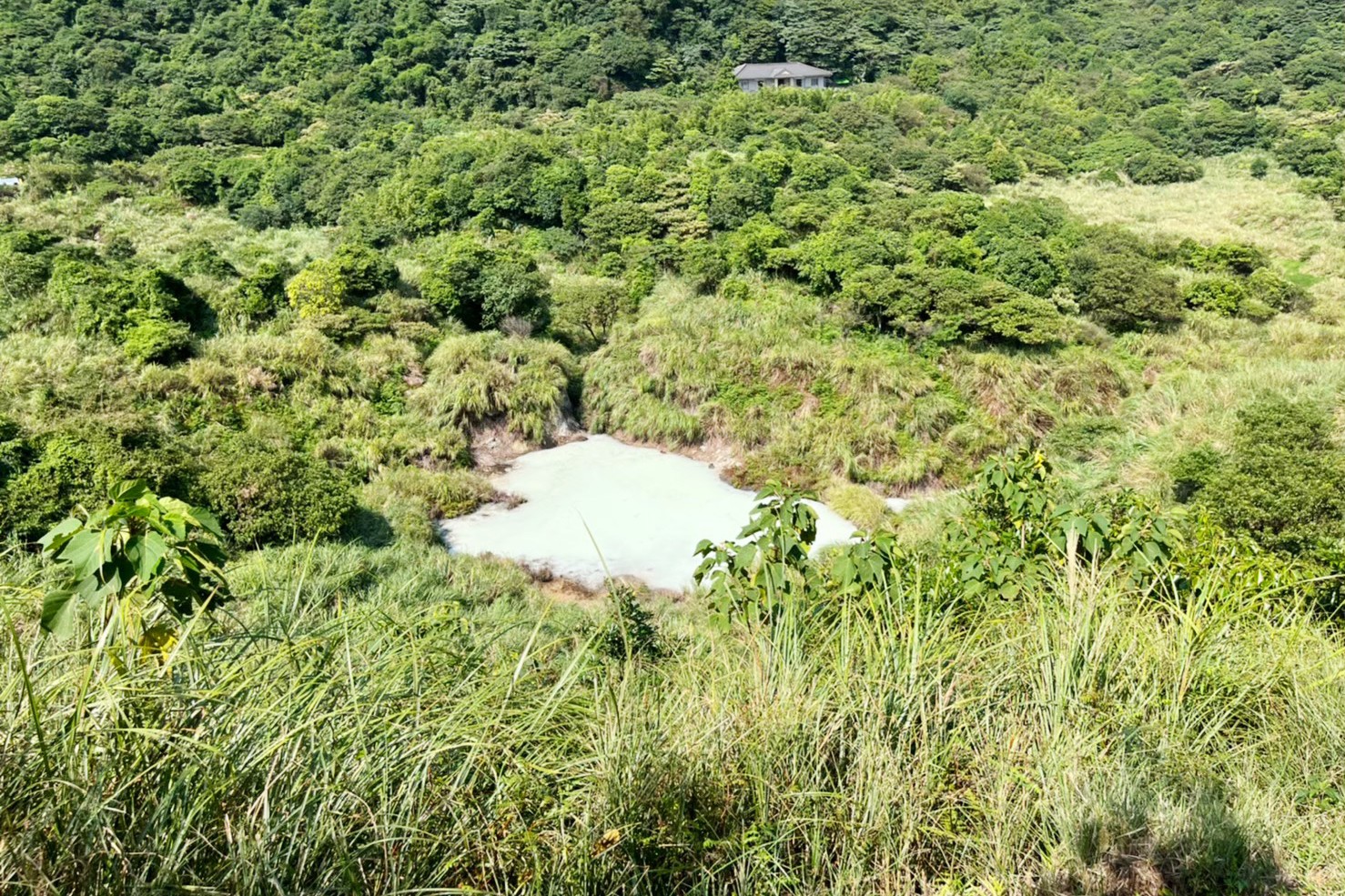台北景點,陽明山,免費景點,冷水坑,牛奶湖,登山,菁山吊橋 台北景點,陽明山,免費景點,冷水坑,牛奶湖,登山,菁山吊橋