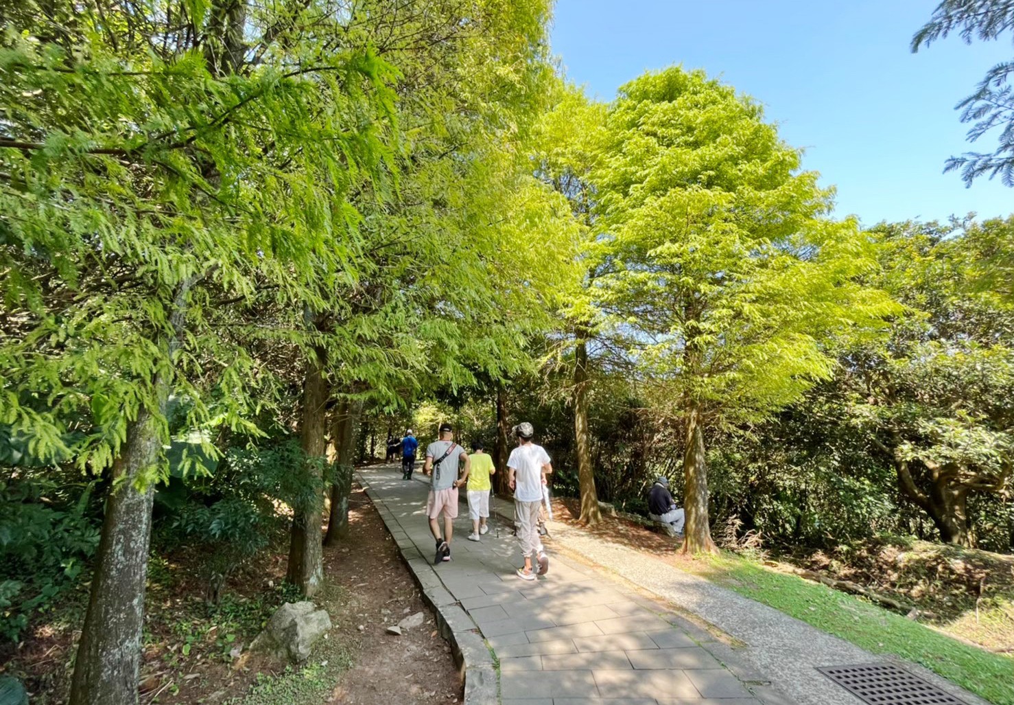 台北景點,陽明山,免費景點,冷水坑,牛奶湖,登山,菁山吊橋 台北景點,陽明山,免費景點,冷水坑,牛奶湖,登山,菁山吊橋